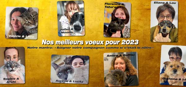 Meilleurs voeux pour la nouvelle année 2023 !