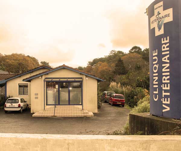 Créée en 1981 et facile d'accès (située sur la R.N.10), la clinique vétérinaire de l'Ariou accueille vos animaux avec compétence, respect et sensibilité.